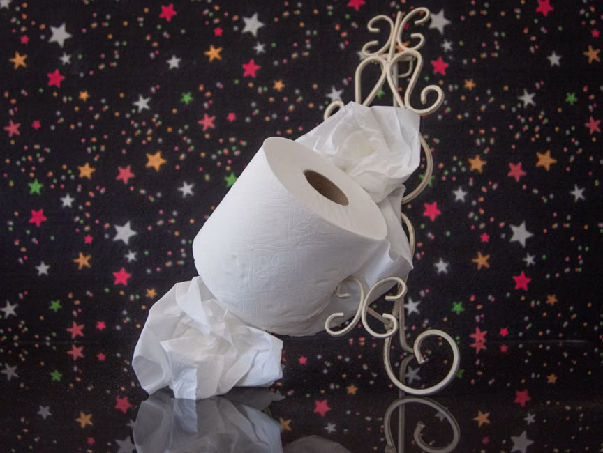 Papel Higiênico (12 rolos)